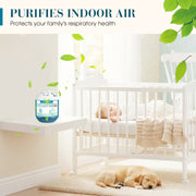 Indoor Air Purification Dust Removal Box – Plant-Based, No Electricity