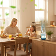Indoor Air Purification Dust Removal Box – Plant-Based, No Electricity