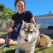 Pup Jet Dog Sprayer – 8-Mode, Built-In Soap Dispenser, Garden Hose Attachment