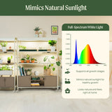 4 Tier Grow Light Garden