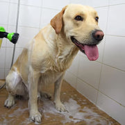 Pup Jet Dog Sprayer – 8-Mode, Built-In Soap Dispenser, Garden Hose Attachment