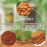 Organic Coconut Coir Bricks Size：5*1.5cm Style 4