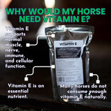 Daily Natural Vitamin E - High Bioavailability Antioxidant Support